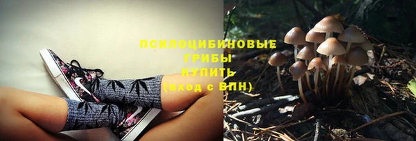 a pvp Алексин