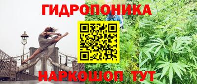 ешки Сланцы