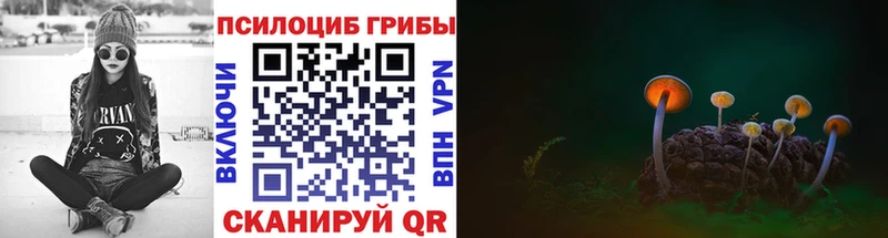 Псилоцибиновые грибы ЛСД  Саянск 