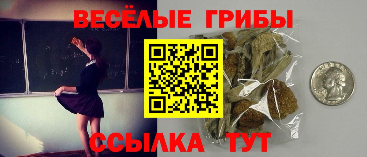 Саянск  Галлюциногенные грибы Magic Shrooms  Галлюциногенные грибы MAGIC MUSHROOMS  Вход с VPN 